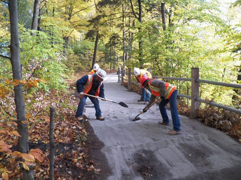Labourers hand grading walking path that is through a forest.